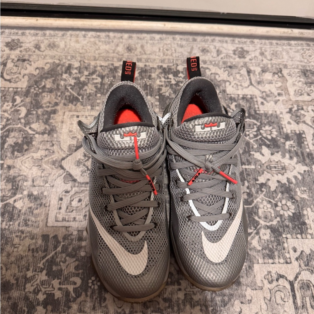 Nike LeBron 12s
